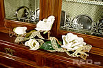 Magnolie a Natale